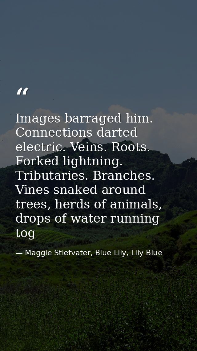 Images barraged him. Connections darted electric. Veins. Roots. Forked lightning. Tributaries. Branches. Vines snaked ar — Maggie Stiefvater, Blue Lily, Lily Blue