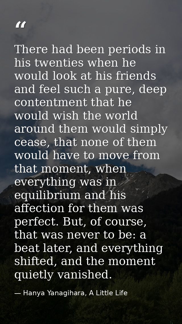 There had been periods in his twenties when he would look at his friends and feel such a pure, deep contentment that he  — Hanya Yanagihara, A Little Life
