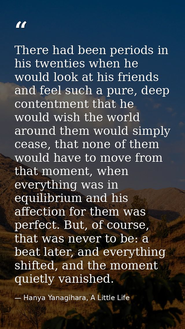 There had been periods in his twenties when he would look at his friends and feel such a pure, deep contentment that he  — Hanya Yanagihara, A Little Life
