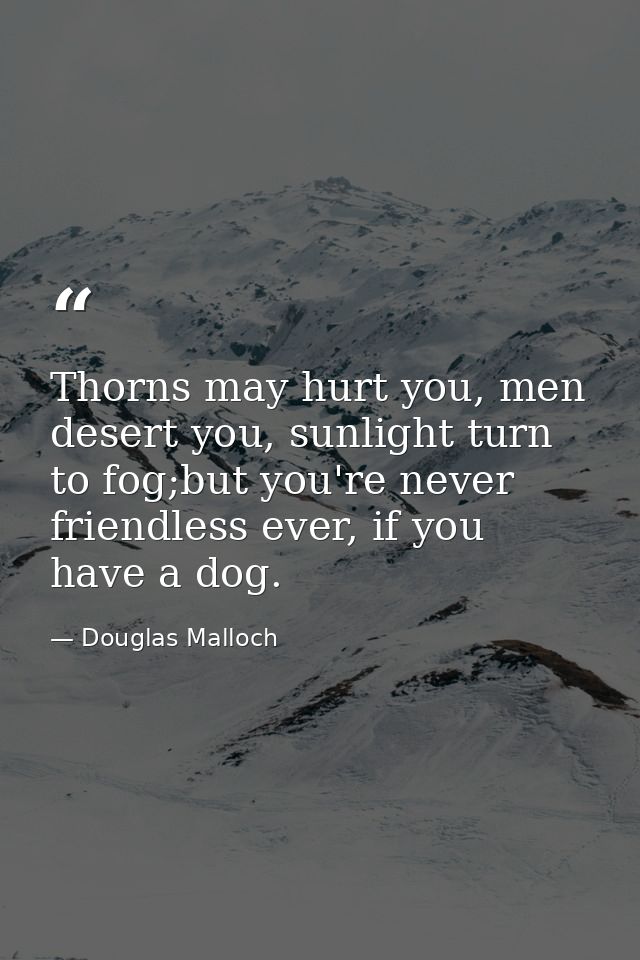 Thorns may hurt you, men desert you, sunlight turn to fog;but you're never friendless ever, if you have a dog. — Douglas Malloch