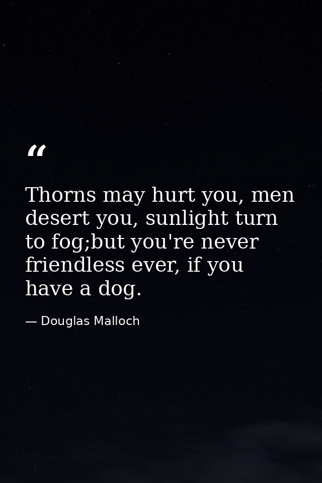 Thorns may hurt you, men desert you, sunlight turn to fog;but you're never friendless ever, if you have a dog. — Douglas Malloch