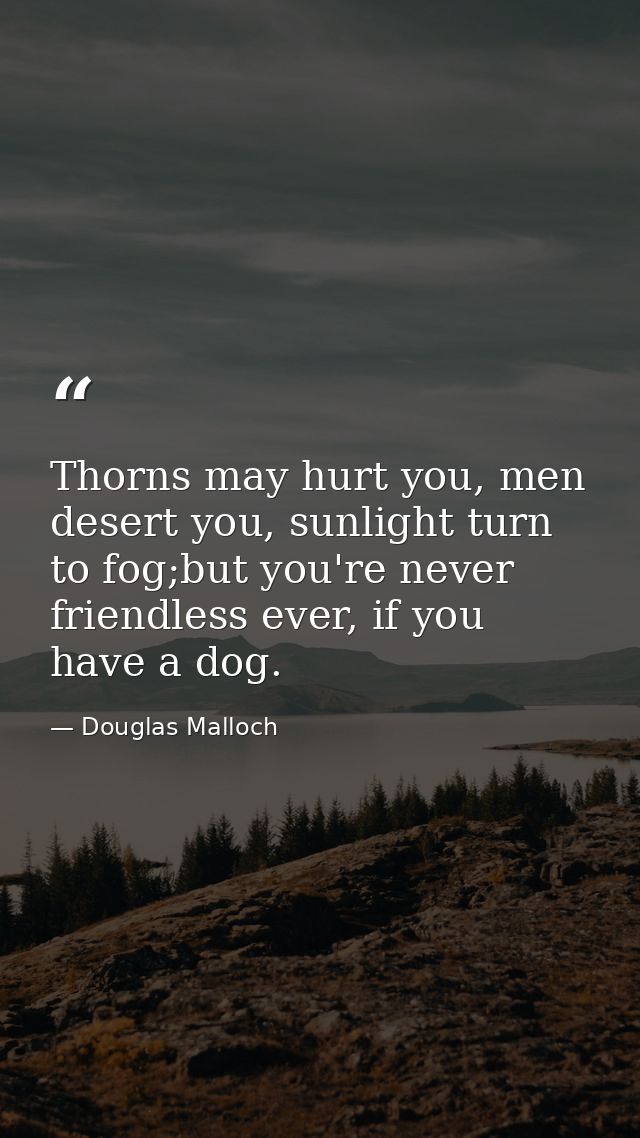 Thorns may hurt you, men desert you, sunlight turn to fog;but you're never friendless ever, if you have a dog. — Douglas Malloch