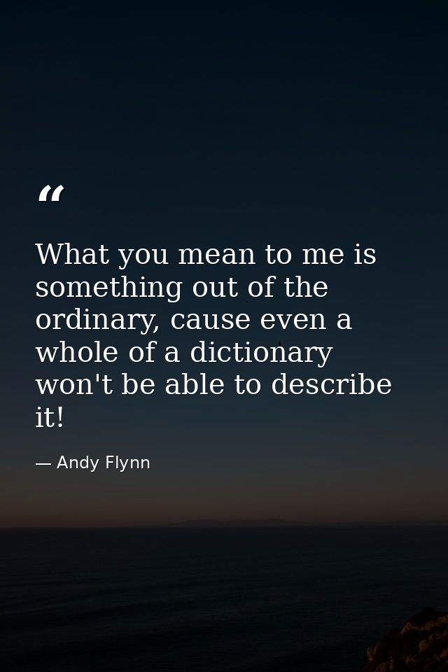 What you mean to me is something out of the ordinary, cause even a whole of a dictionary won't be able to describe it! — Andy Flynn