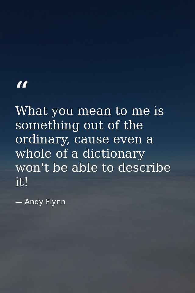 What you mean to me is something out of the ordinary, cause even a whole of a dictionary won't be able to describe it! — Andy Flynn