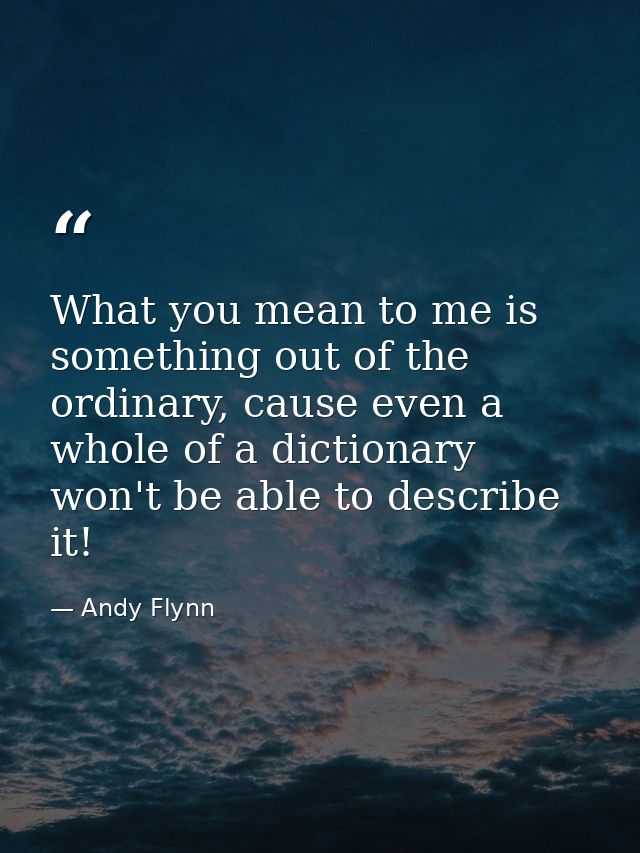 What you mean to me is something out of the ordinary, cause even a whole of a dictionary won't be able to describe it! — Andy Flynn