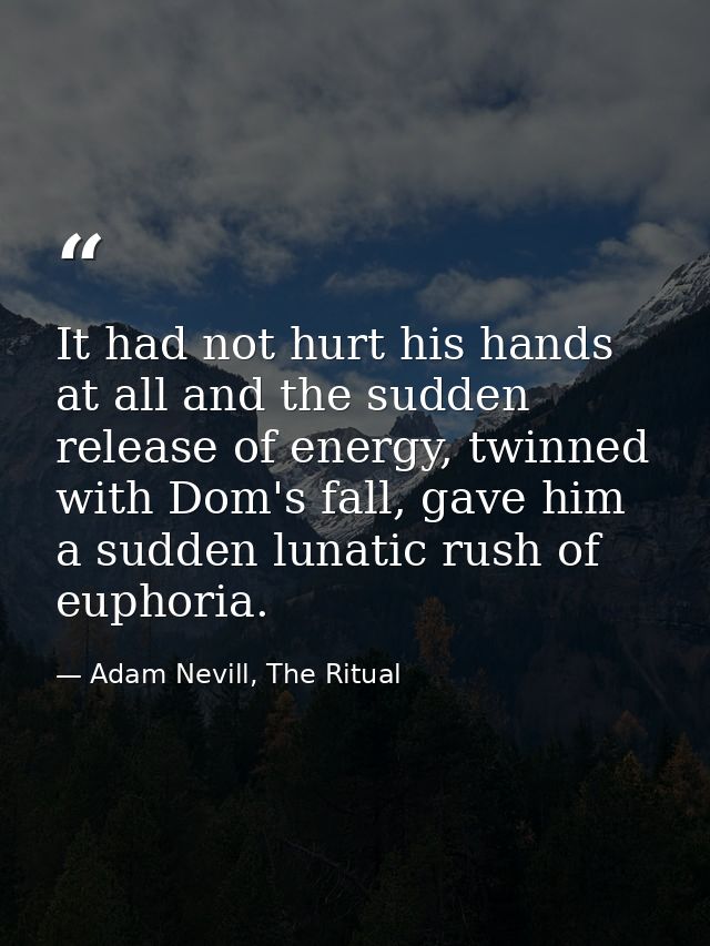 It had not hurt his hands at all and the sudden release of energy, twinned with Dom's fall, gave him a sudden lunatic ru — Adam Nevill, The Ritual