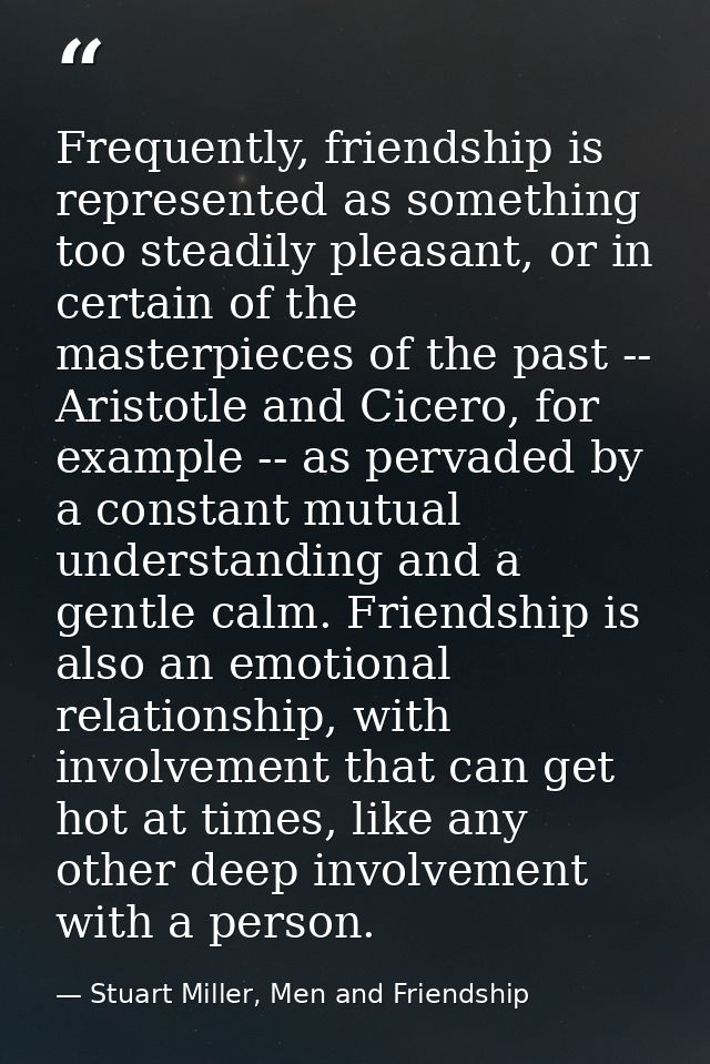 Frequently, friendship is represented as something too steadily pleasant, or in certain of the masterpieces of the past  — Stuart Miller, Men and Friendship