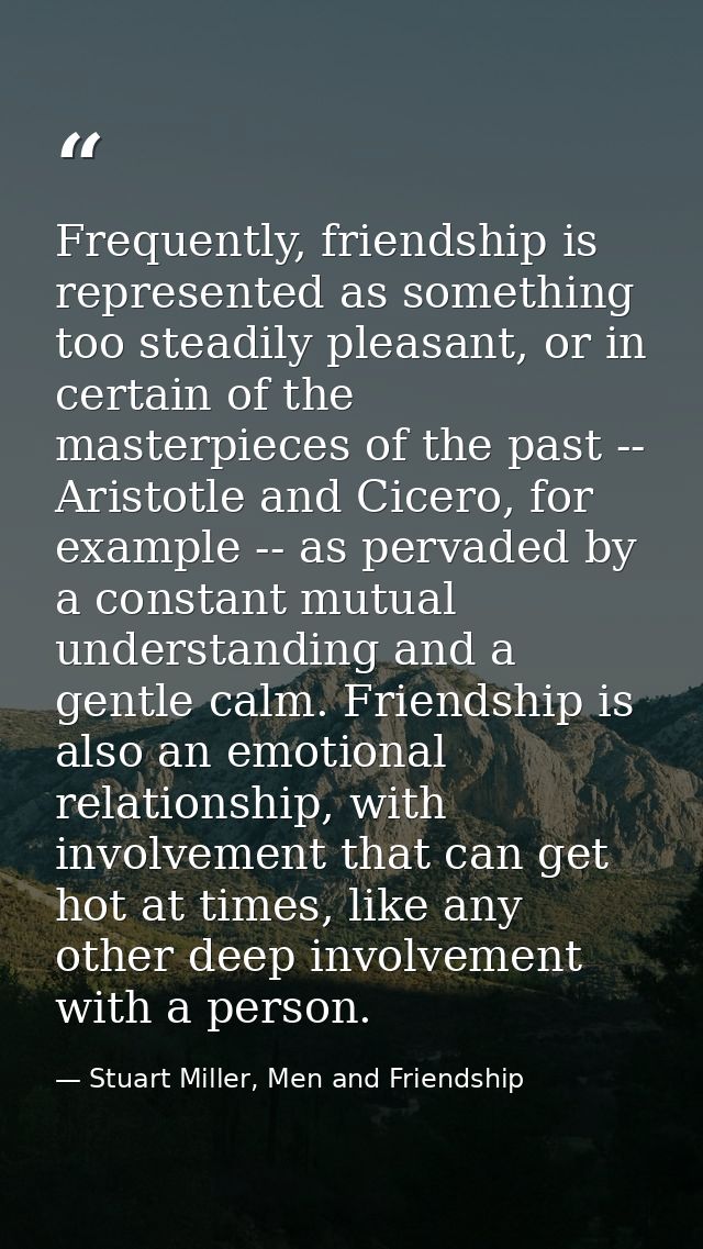 Frequently, friendship is represented as something too steadily pleasant, or in certain of the masterpieces of the past  — Stuart Miller, Men and Friendship