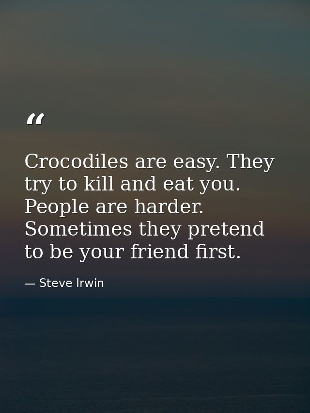 Crocodiles are easy. They try to kill and eat you. People are harder. Sometimes they pretend to be your friend first. — Steve Irwin