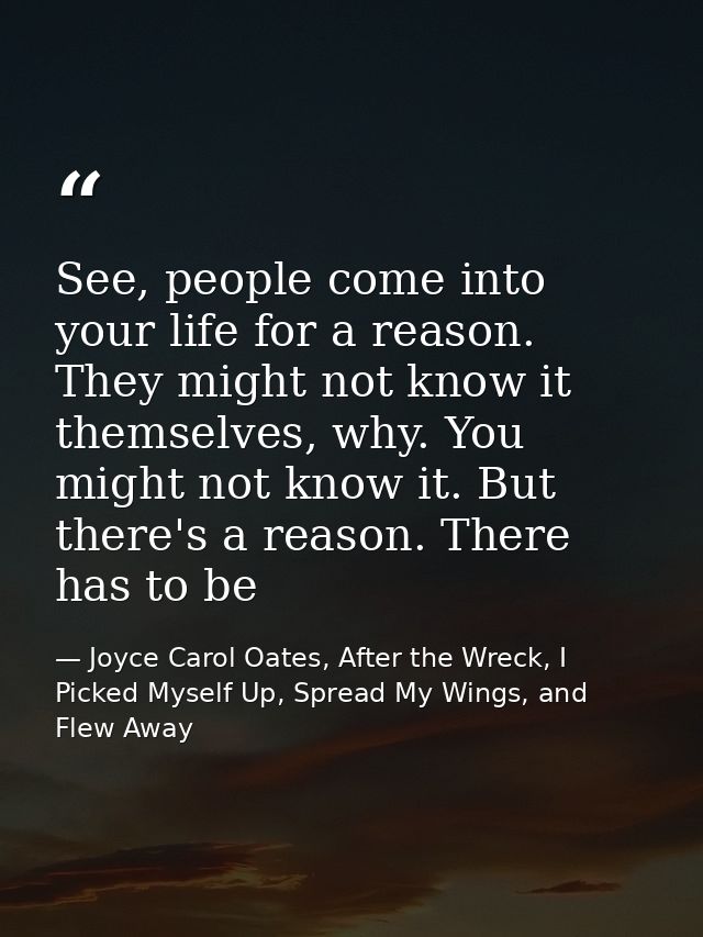 See, people come into your life for a reason. They might not know it themselves, why. You might not know it. But there's — Joyce Carol Oates, After the Wreck, I Picked Myself Up, Spread My Wings, and Flew Away
