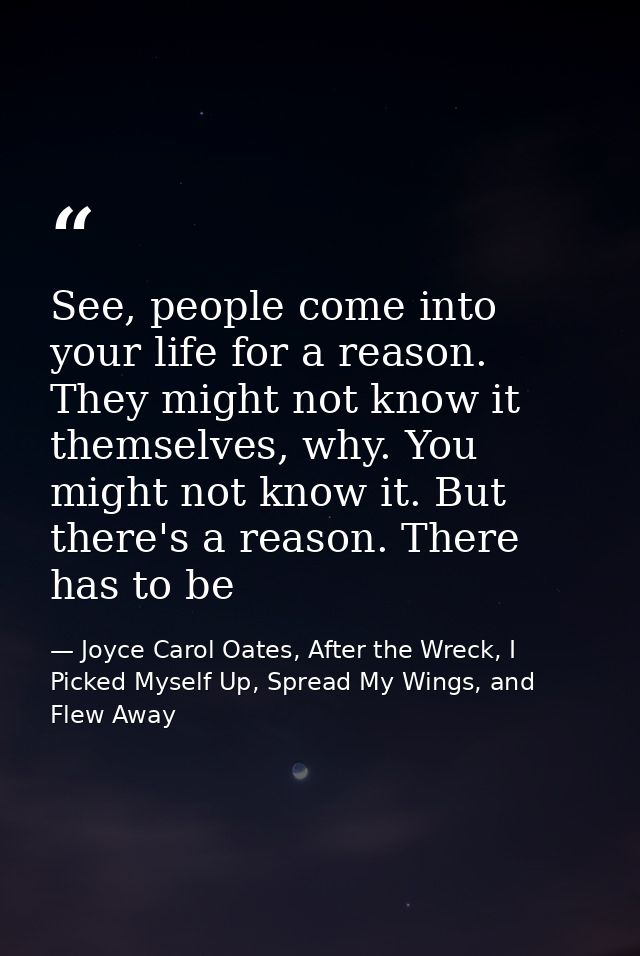 See, people come into your life for a reason. They might not know it themselves, why. You might not know it. But there's — Joyce Carol Oates, After the Wreck, I Picked Myself Up, Spread My Wings, and Flew Away