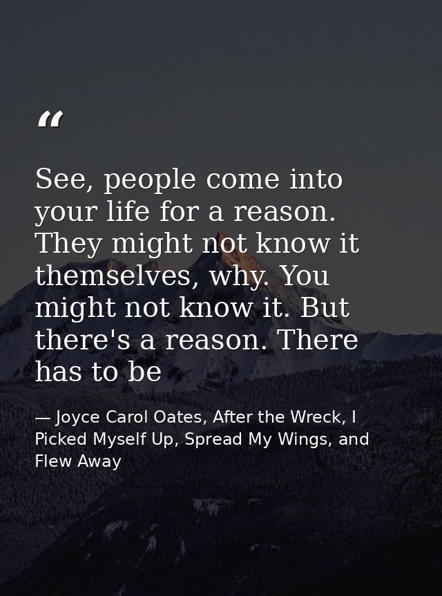 See, people come into your life for a reason. They might not know it themselves, why. You might not know it. But there's — Joyce Carol Oates, After the Wreck, I Picked Myself Up, Spread My Wings, and Flew Away
