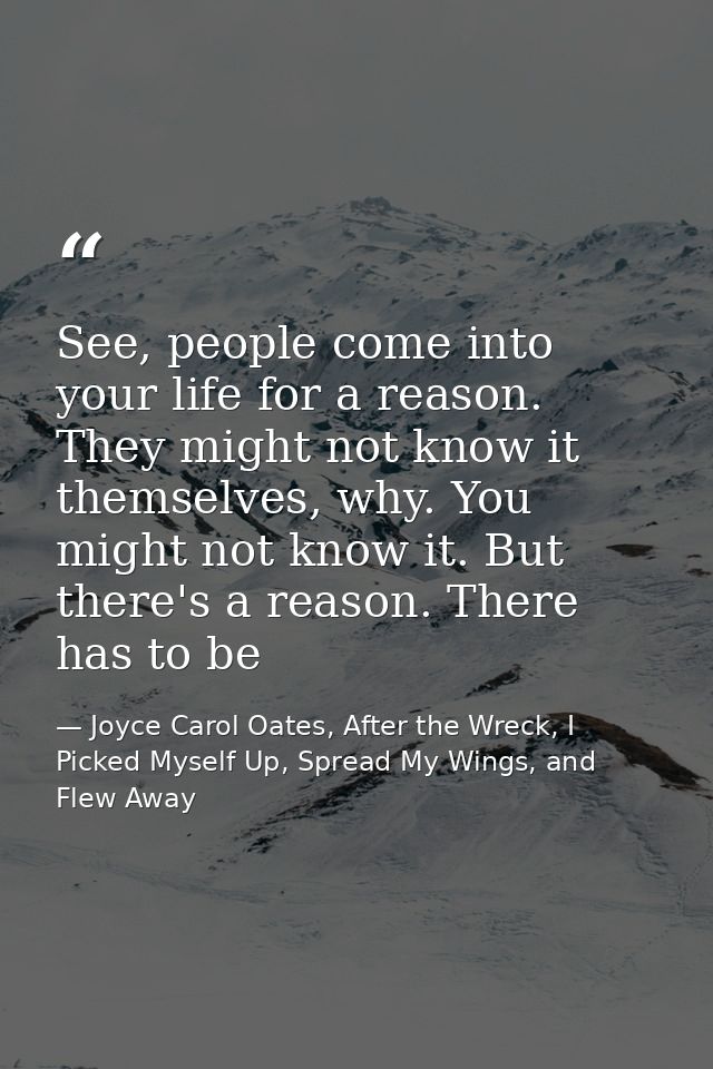 See, people come into your life for a reason. They might not know it themselves, why. You might not know it. But there's — Joyce Carol Oates, After the Wreck, I Picked Myself Up, Spread My Wings, and Flew Away