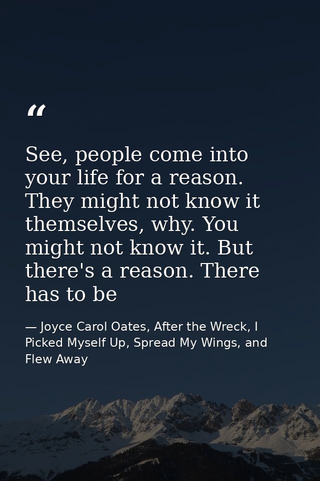 See, people come into your life for a reason. They might not know it themselves, why. You might not know it. But there's — Joyce Carol Oates, After the Wreck, I Picked Myself Up, Spread My Wings, and Flew Away