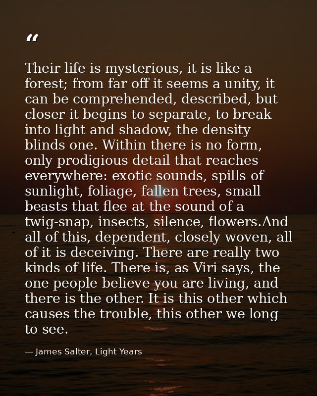 Their life is mysterious, it is like a forest; from far off it seems a unity, it can be comprehended, described, but clo — James Salter, Light Years