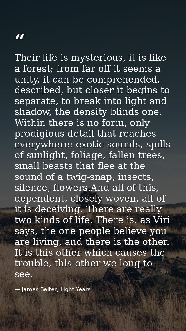 Their life is mysterious, it is like a forest; from far off it seems a unity, it can be comprehended, described, but clo — James Salter, Light Years
