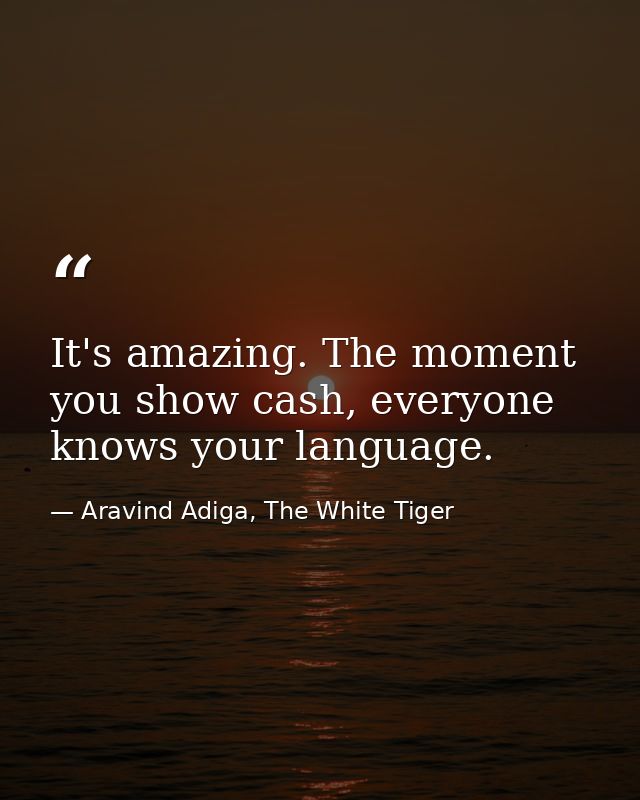 It's amazing. The moment you show cash, everyone knows your language. — Aravind Adiga, The White Tiger