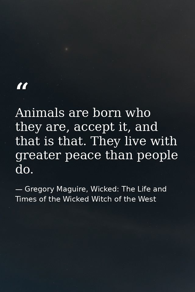 Animals are born who they are, accept it, and that is that. They live with greater peace than people do. — Gregory Maguire, Wicked: The Life and Times of the Wicked Witch of the West