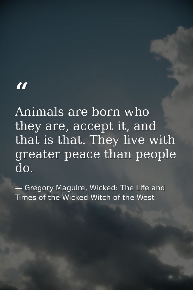Animals are born who they are, accept it, and that is that. They live with greater peace than people do. — Gregory Maguire, Wicked: The Life and Times of the Wicked Witch of the West