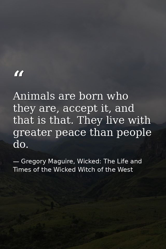 Animals are born who they are, accept it, and that is that. They live with greater peace than people do. — Gregory Maguire, Wicked: The Life and Times of the Wicked Witch of the West