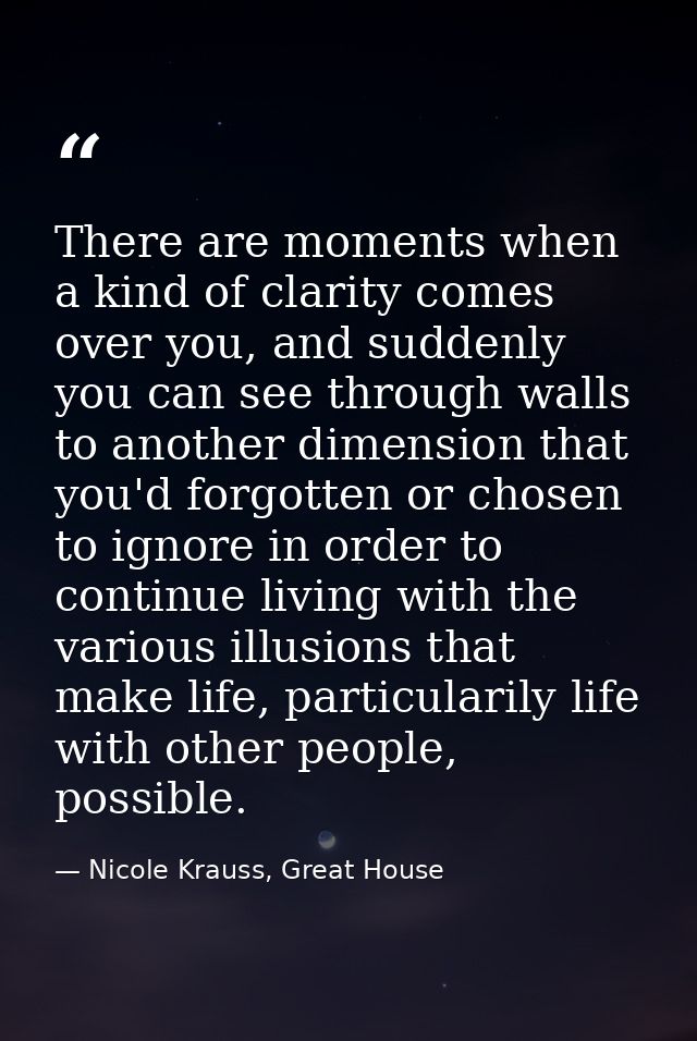 There are moments when a kind of clarity comes over you, and suddenly you can see through walls to another dimension tha — Nicole Krauss, Great House