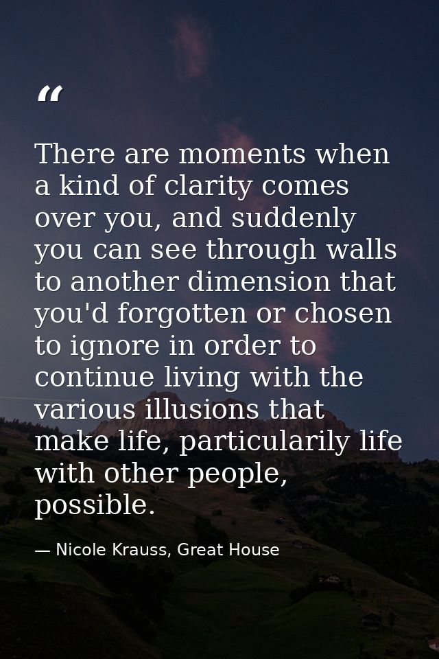 There are moments when a kind of clarity comes over you, and suddenly you can see through walls to another dimension tha — Nicole Krauss, Great House