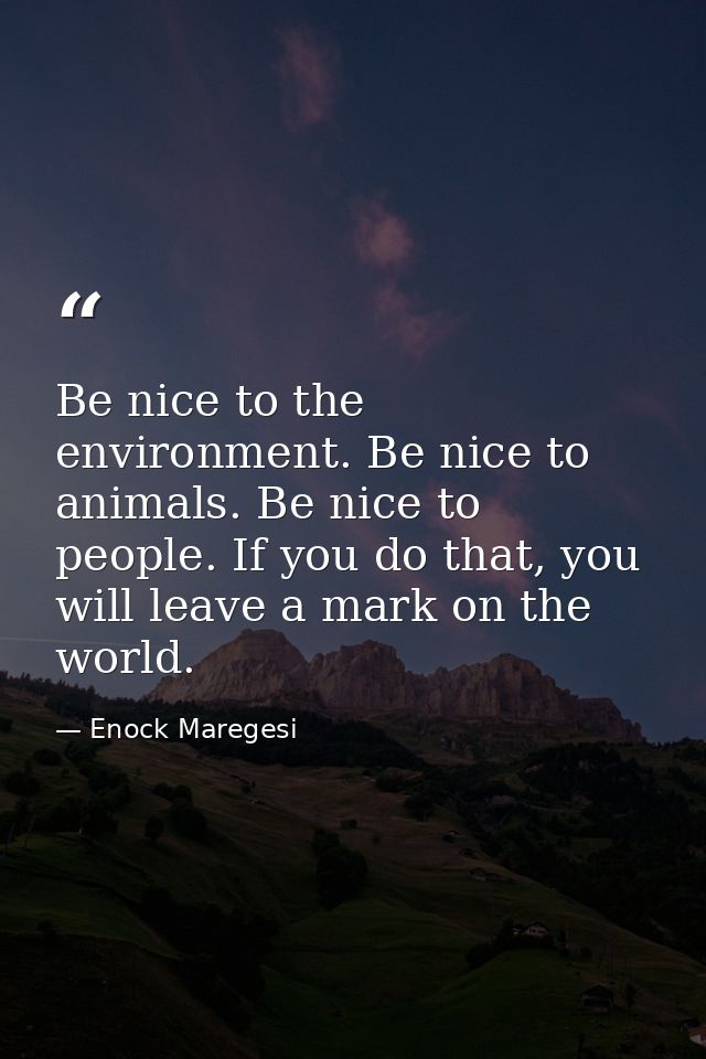 Be nice to the environment. Be nice to animals. Be nice to people. If you do that, you will leave a mark on the world. — Enock Maregesi