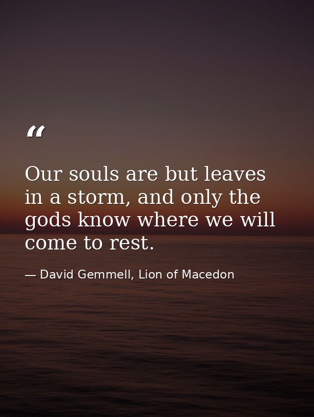 Our souls are but leaves in a storm, and only the gods know where we will come to rest. — David Gemmell, Lion of Macedon