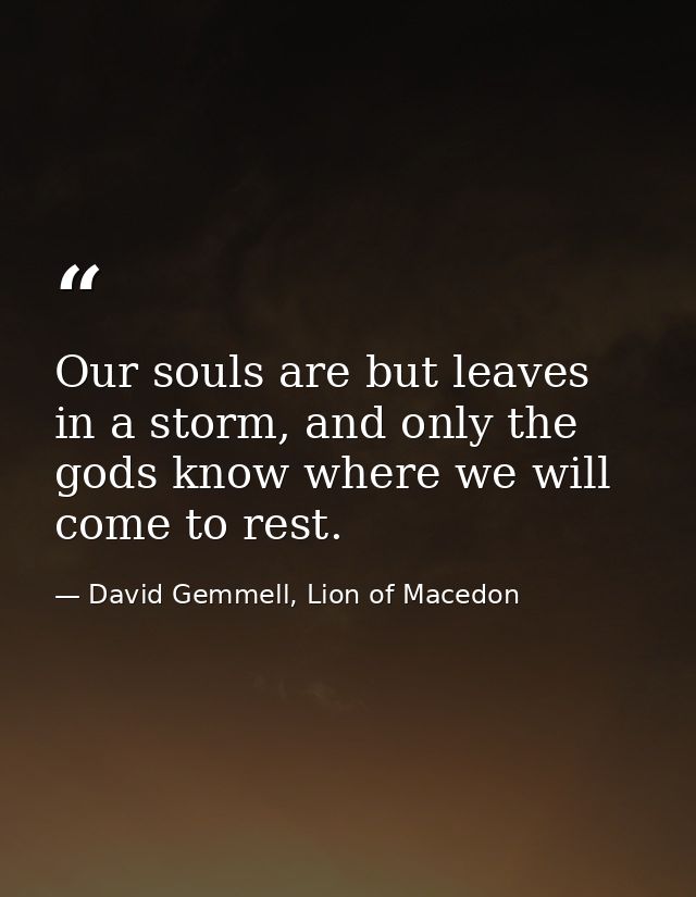 Our souls are but leaves in a storm, and only the gods know where we will come to rest. — David Gemmell, Lion of Macedon