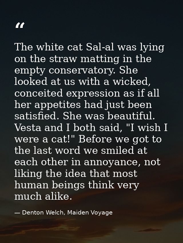 The white cat Sal-al was lying on the straw matting in the empty conservatory. She looked at us with a wicked, conceited — Denton Welch, Maiden Voyage