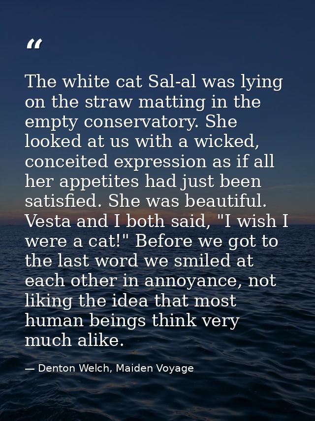 The white cat Sal-al was lying on the straw matting in the empty conservatory. She looked at us with a wicked, conceited — Denton Welch, Maiden Voyage
