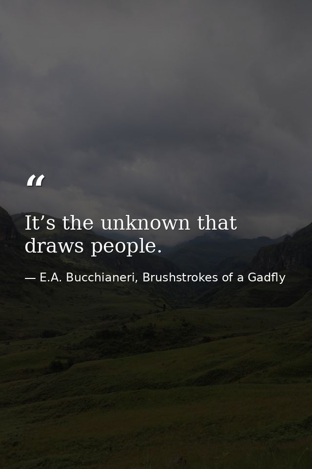 It’s the unknown that draws people. — E.A. Bucchianeri, Brushstrokes of a Gadfly
