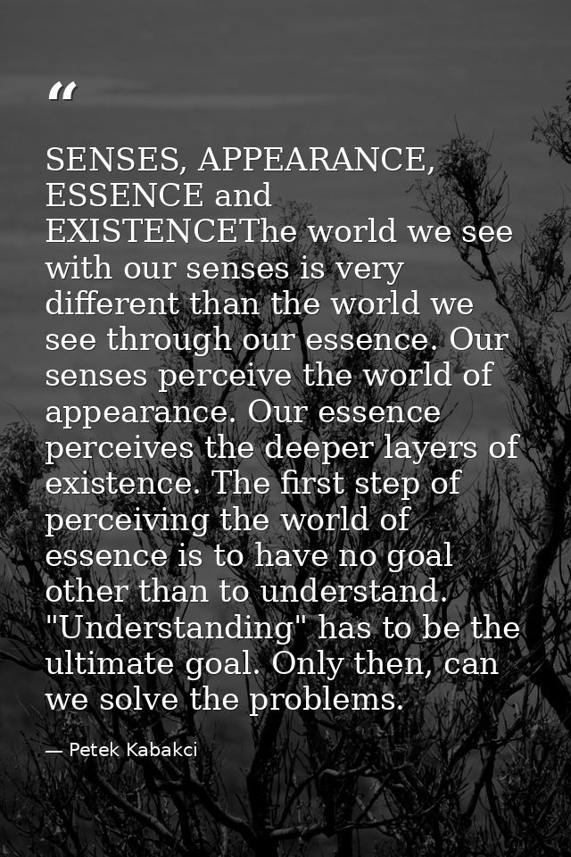 SENSES, APPEARANCE, ESSENCE and EXISTENCEThe world we see with our senses is very different than the world we see throug — Petek Kabakci