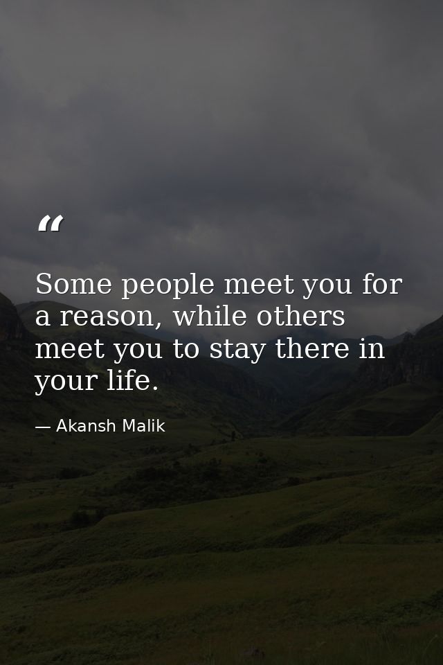 Some people meet you for a reason, while others meet you to stay there in your life. — Akansh Malik