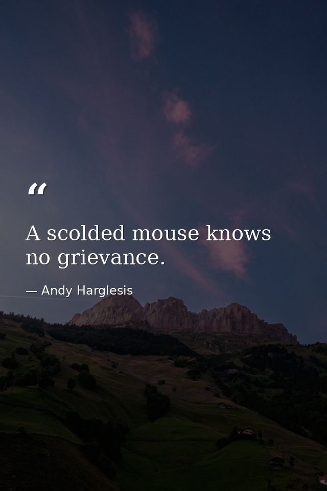 A scolded mouse knows no grievance. — Andy Harglesis