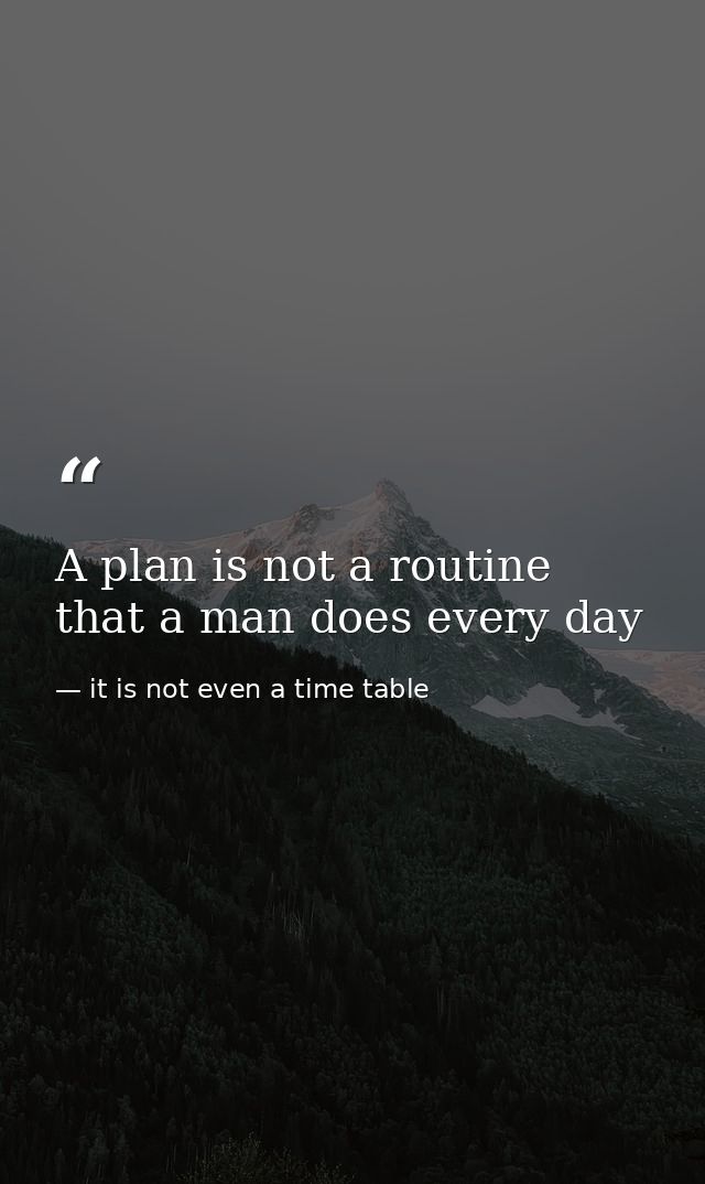 A plan is not a routine that a man does every day — it is not even a time table