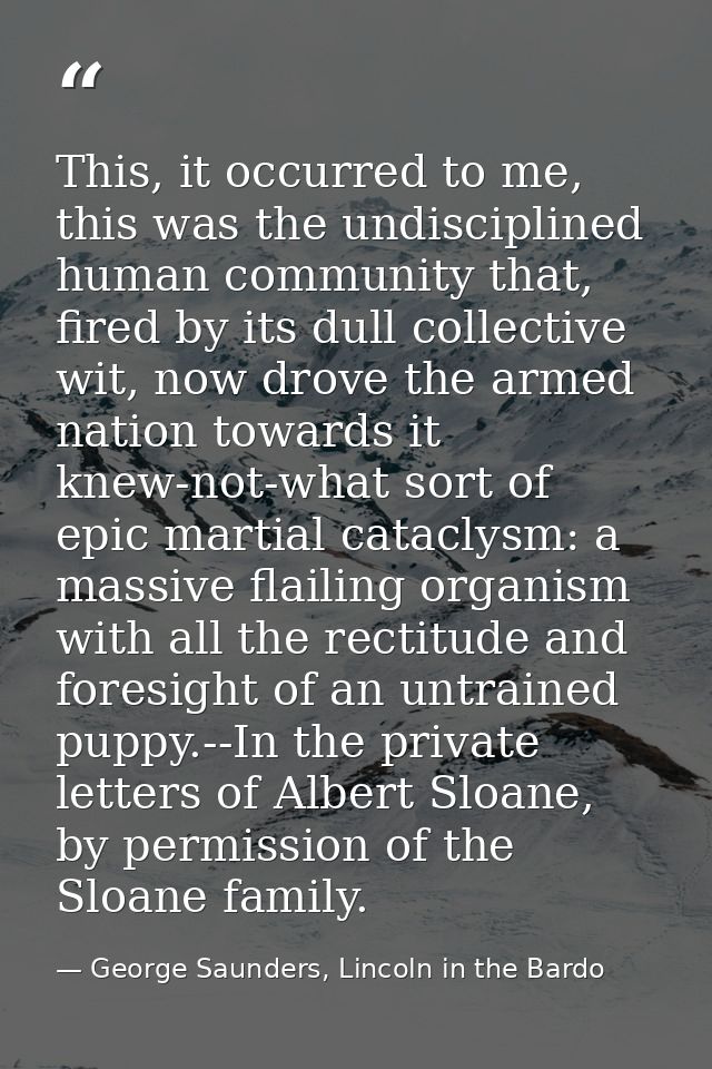 This, it occurred to me, this was the undisciplined human community that, fired by its dull collective wit, now drove th — George Saunders, Lincoln in the Bardo