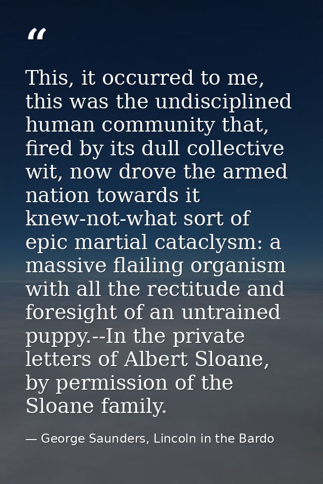 This, it occurred to me, this was the undisciplined human community that, fired by its dull collective wit, now drove th — George Saunders, Lincoln in the Bardo