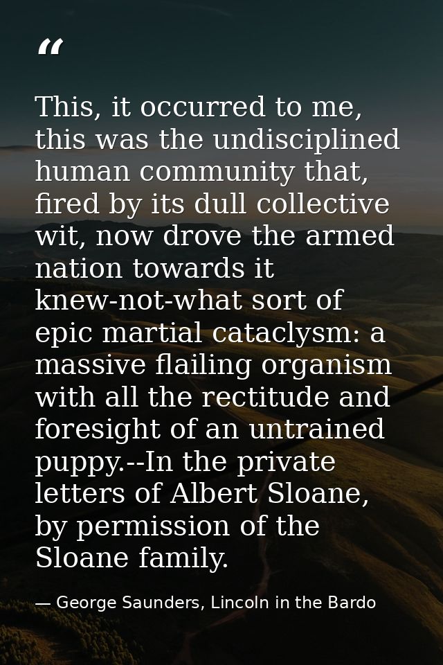 This, it occurred to me, this was the undisciplined human community that, fired by its dull collective wit, now drove th — George Saunders, Lincoln in the Bardo