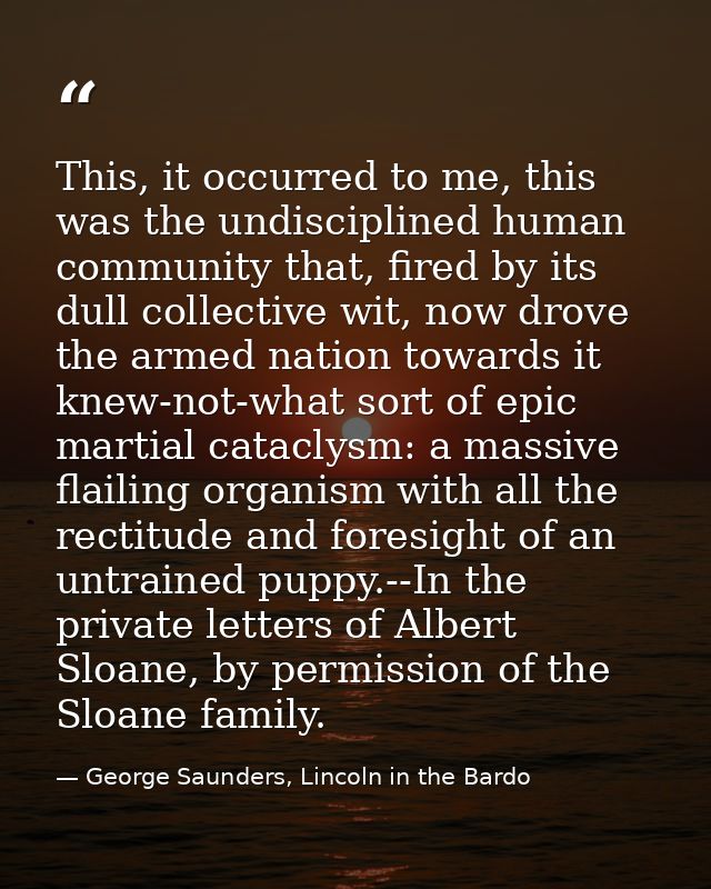 This, it occurred to me, this was the undisciplined human community that, fired by its dull collective wit, now drove th — George Saunders, Lincoln in the Bardo