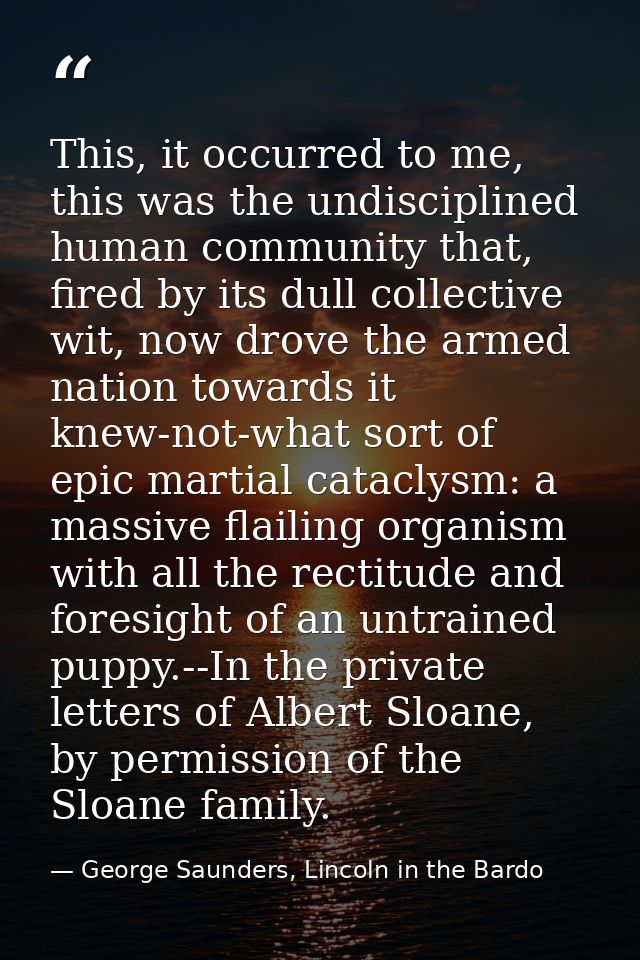 This, it occurred to me, this was the undisciplined human community that, fired by its dull collective wit, now drove th — George Saunders, Lincoln in the Bardo