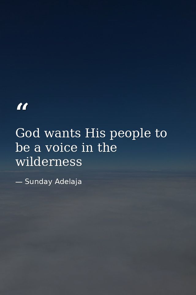 God wants His people to be a voice in the wilderness — Sunday Adelaja