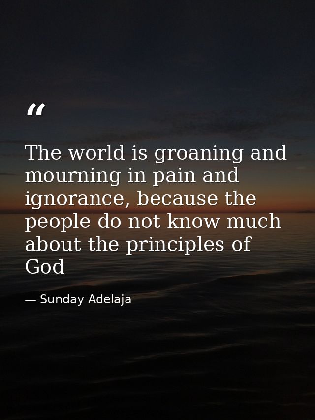 The world is groaning and mourning in pain and ignorance, because the people do not know much about the principles of Go — Sunday Adelaja