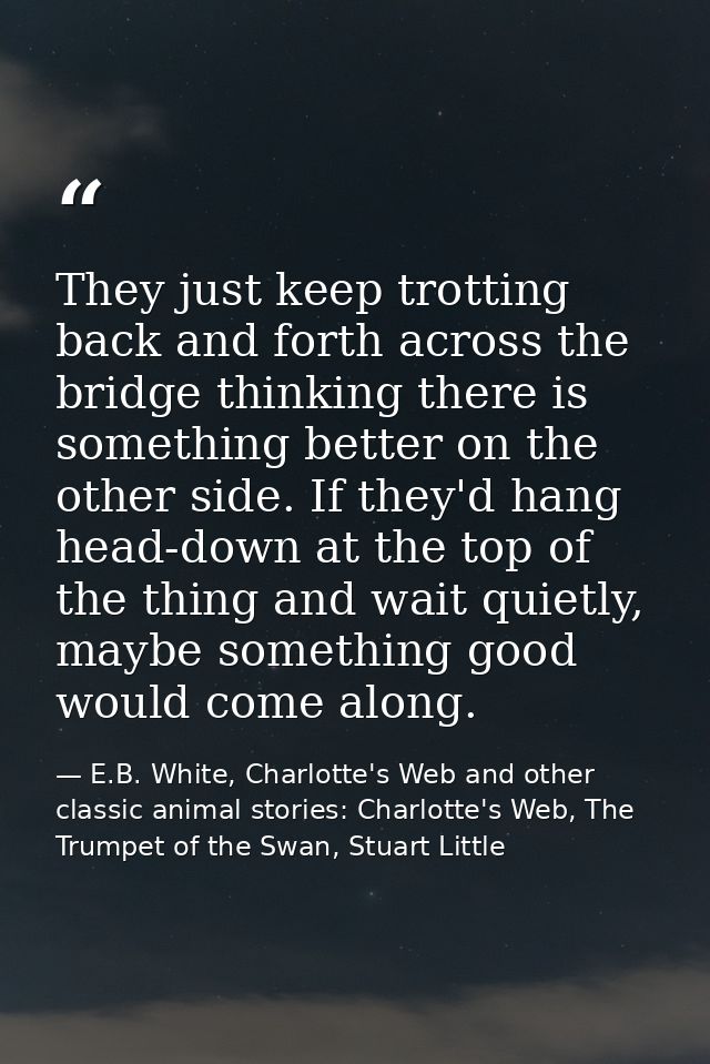 They just keep trotting back and forth across the bridge thinking there is something better on the other side. If they'd — E.B. White, Charlotte's Web and other classic animal stories: Charlotte's Web, The Trumpet of the Swan, Stuart Little