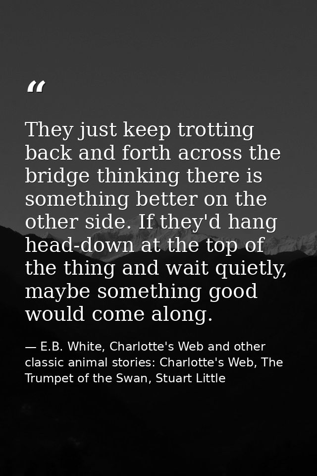 They just keep trotting back and forth across the bridge thinking there is something better on the other side. If they'd — E.B. White, Charlotte's Web and other classic animal stories: Charlotte's Web, The Trumpet of the Swan, Stuart Little