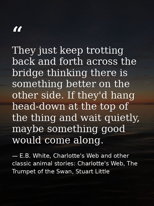 They just keep trotting back and forth across the bridge thinking there is something better on the other side. If they'd — E.B. White, Charlotte's Web and other classic animal stories: Charlotte's Web, The Trumpet of the Swan, Stuart Little