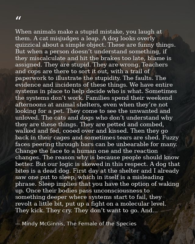 When animals make a stupid mistake, you laugh at them. A cat misjudges a leap. A dog looks overly quizzical about a simp — Mindy McGinnis, The Female of the Species