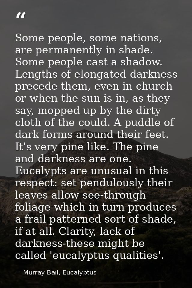 Some people, some nations, are permanently in shade. Some people cast a shadow. Lengths of elongated darkness precede th — Murray Bail, Eucalyptus