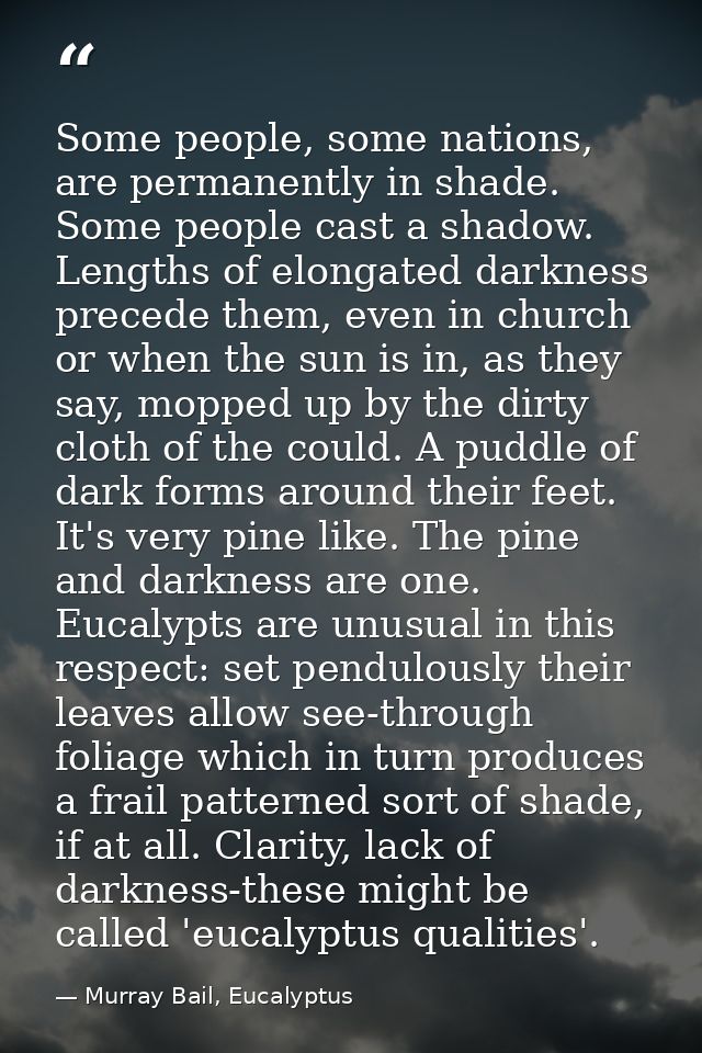Some people, some nations, are permanently in shade. Some people cast a shadow. Lengths of elongated darkness precede th — Murray Bail, Eucalyptus