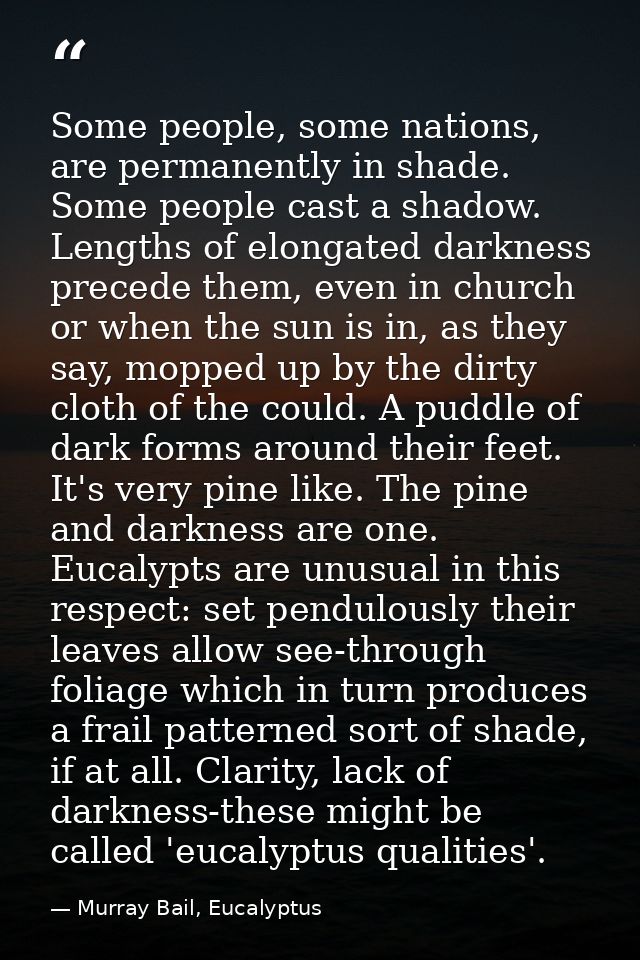 Some people, some nations, are permanently in shade. Some people cast a shadow. Lengths of elongated darkness precede th — Murray Bail, Eucalyptus